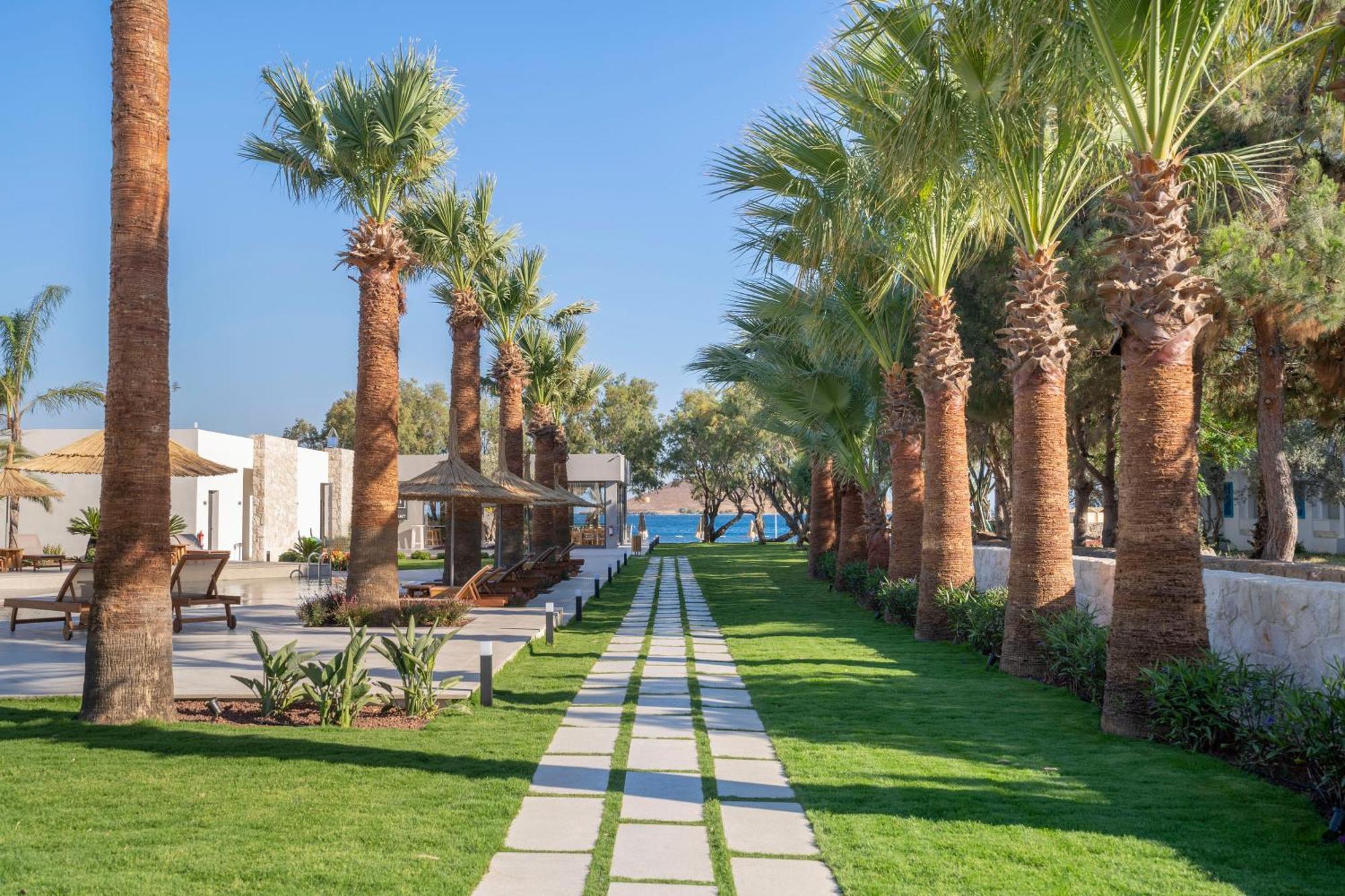 Regia Mare Beach Hotel & Spa Bodrum Ortakent Zewnętrze zdjęcie